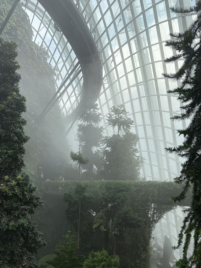 🌿✨ 新加坡必訪夢幻花園——濱海灣花園 ✨🌿