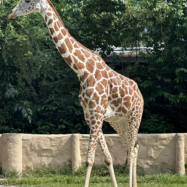 馬來西亞國家動物園