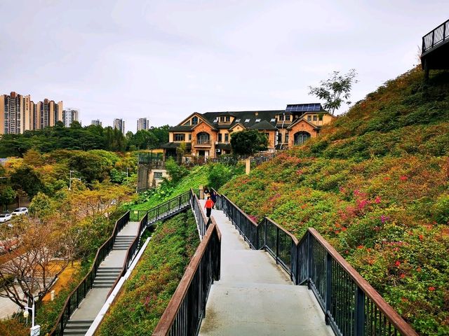 玉龍公園
