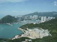 Swooping Over the Sea: Ocean Park's Best Moments