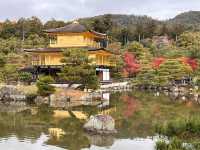 A Symphony of Colors — The Golden Glow of the Kinkakuji-Temple