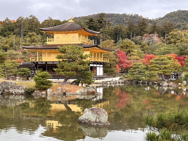 A Symphony of Colors — The Golden Glow of the Kinkakuji-Temple