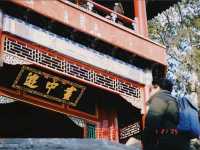 上海庭園：古典美景與現代打卡的完美融合，捕捉每一瞬間的靜謐與魅力！📸🌸🏯