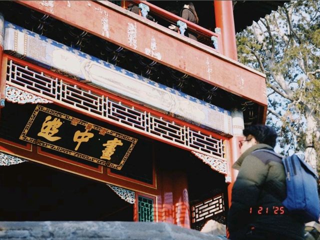 上海庭園：古典美景與現代打卡的完美融合，捕捉每一瞬間的靜謐與魅力！📸🌸🏯