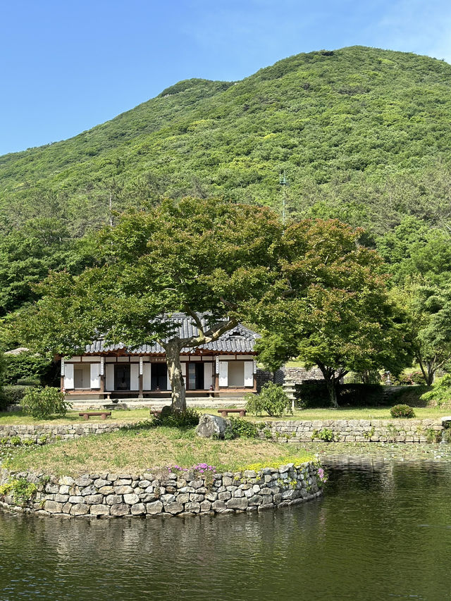 전남 진도 야외데이트하기 좋은 운림산방