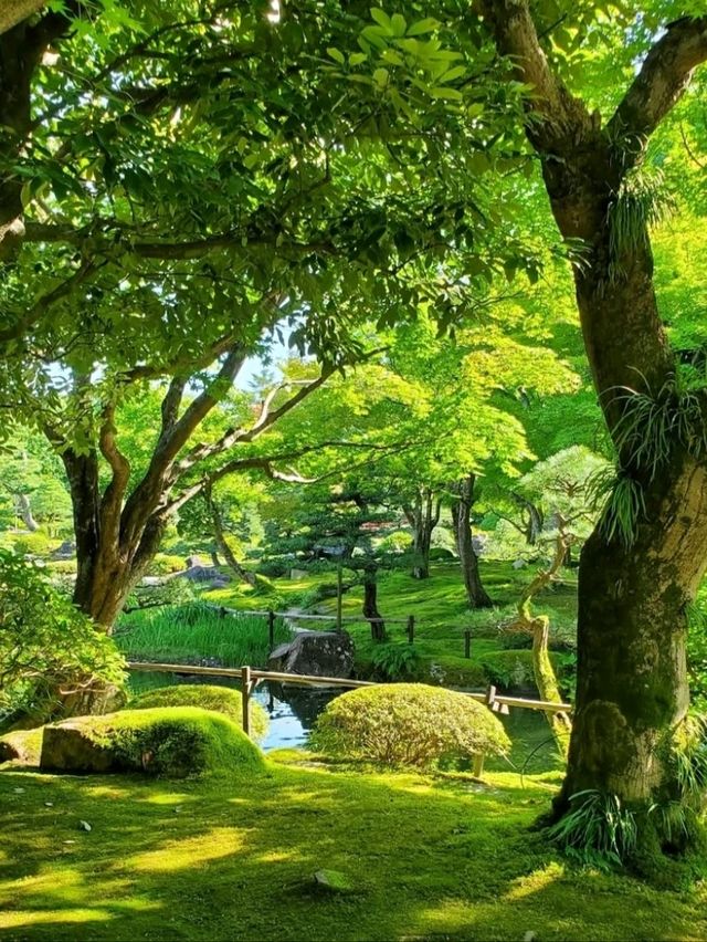 ■由志園