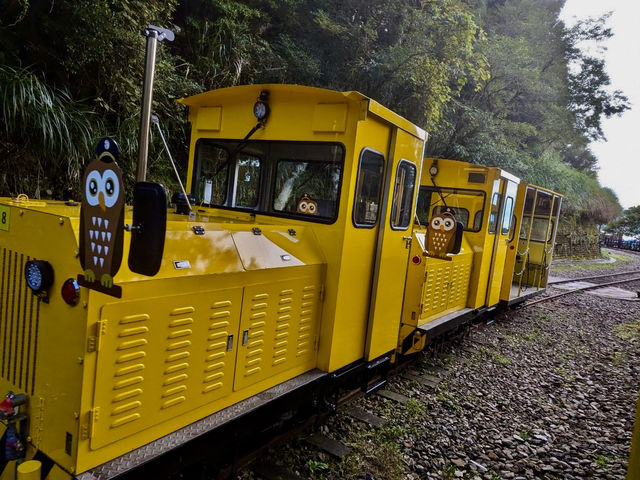 走讀一代林業的風華歷史～太平山蹦蹦車鐵道