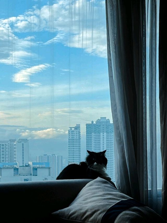 A Pet-Friendly Staycation To Remember