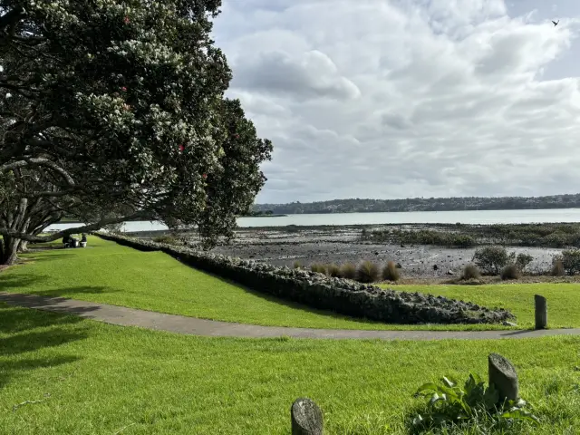 뉴질랜드 오클랜드🇳🇿 2주간의 여행