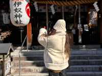「名古屋6日全攻略！神社巡禮×水族館×古城美景，一次玩遍必去景點！」
