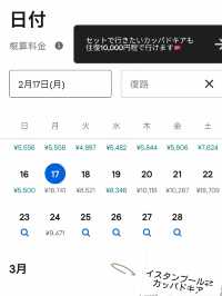 必見✈️往復6万円台でトルコ旅行🇹🇷