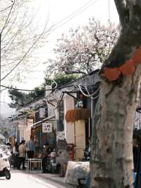 🇨🇳 Exploring China’s Treasures: Jingdezhen, San Qing Shan, and Wuyuan