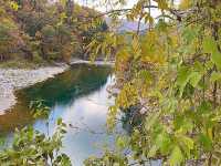 【岐阜/白川村】合掌造りで有名！世界遺産スポット＊白川郷＊
