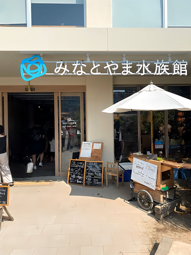 神戸！廃校をリノベしたちいさな水族館とフードホール