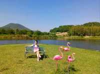 Phupha Coffee Camp ภูผา คอฟฟี่ แค้มป์