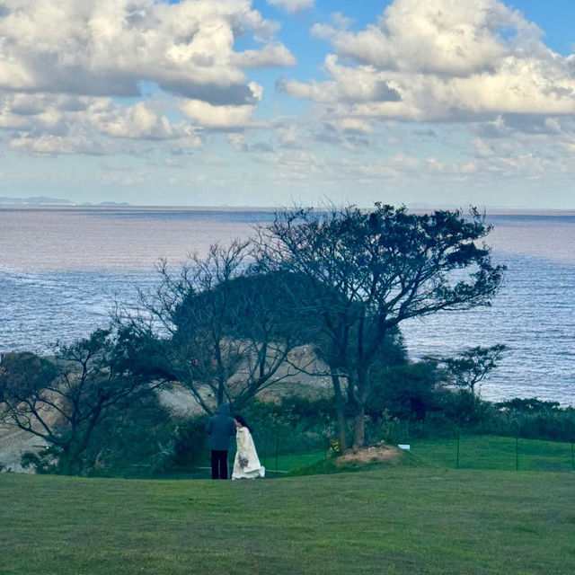 ～桂山島～碧海藍天的夢幻～