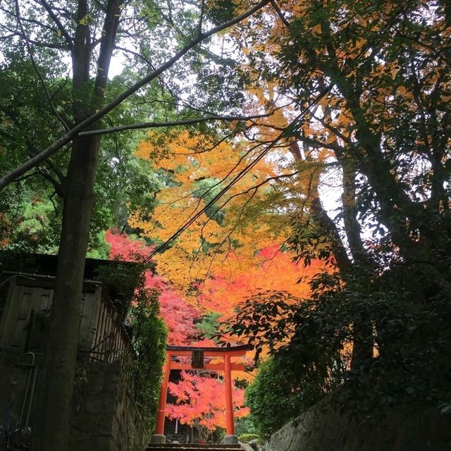 神戸の自然スポットを巡る