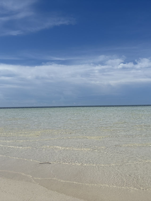 Amazing Beaches to Visit in Sumba Island 🏝️✨