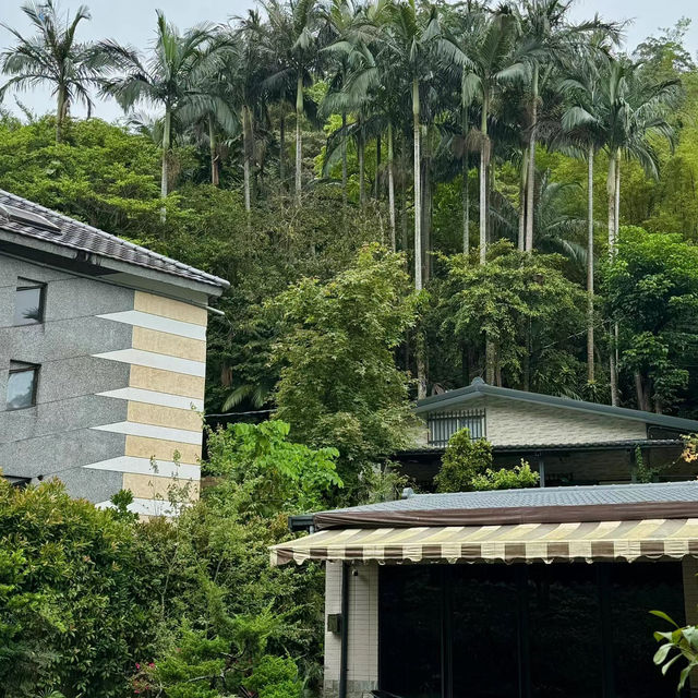 天母古道親山步道 | 清新綠野的悠然