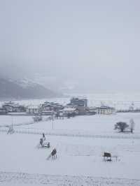 心中的日月：香格里拉納帕海草原的雪後