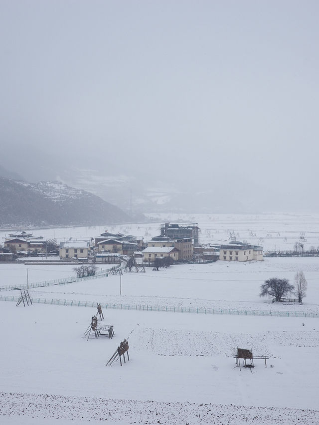 心中的日月：香格里拉納帕海草原的雪後