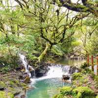 竹子湖ㄧ日遊