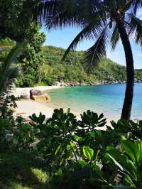Bedarra Island Resort