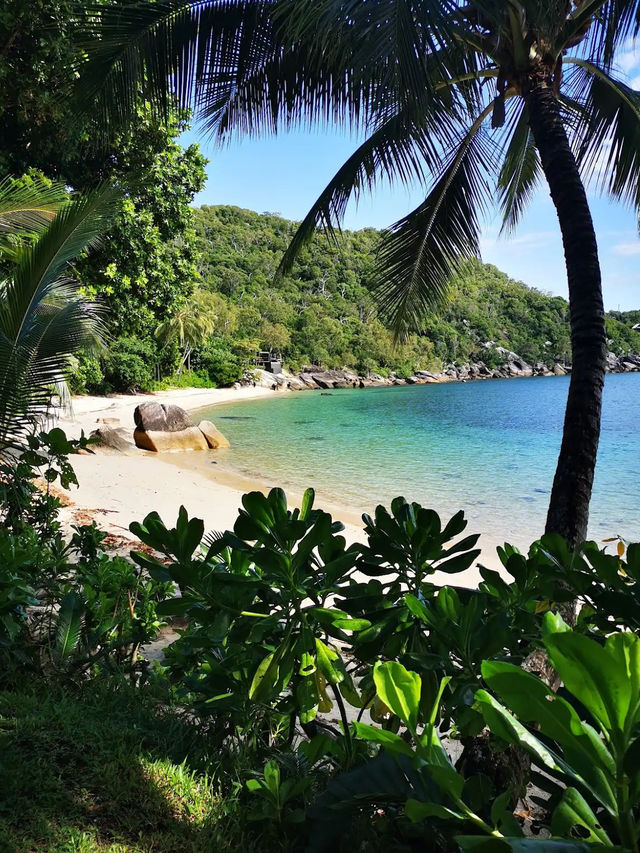 Bedarra Island Resort