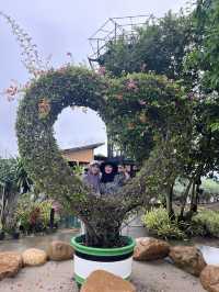 SeaVerse Hat Yai: A Scenic Escape Perfect for the Gram