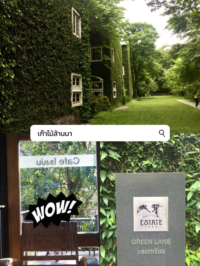 เที่ยวดอยอินทนนท์แบบรวบรัด
