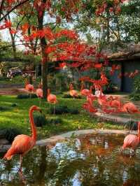 Shanghai: The Pulse of Modern Cosmopolitan City in China