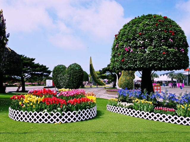The Taean Tulip Festival in Anmyeondo, South Korea