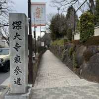 グルメに食べ歩きに参拝、アート体験などなんでもできる深大寺🥳🤍