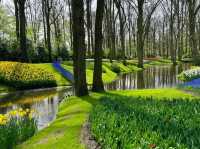 "Keukenhof: The World's Most Beautiful Spring Garden"