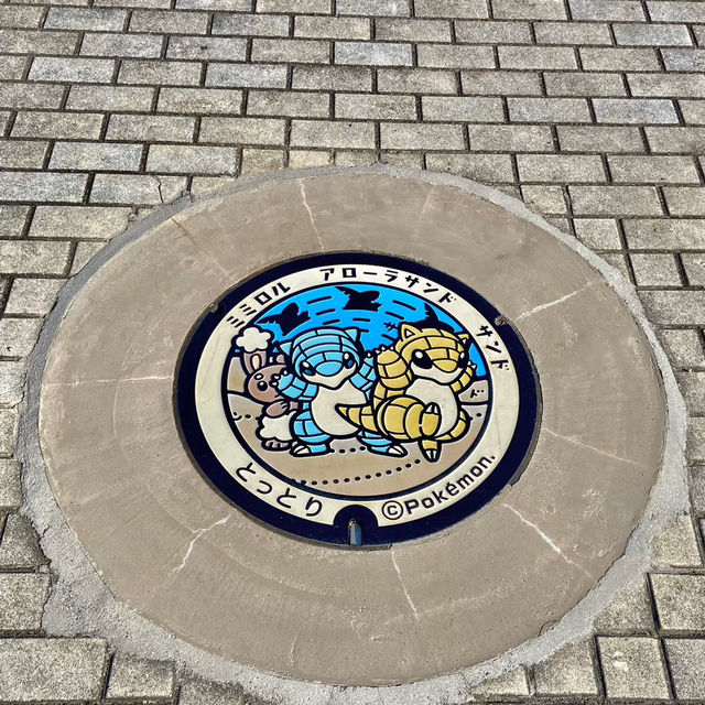 【足元】マンホール🕳️ポケふた編