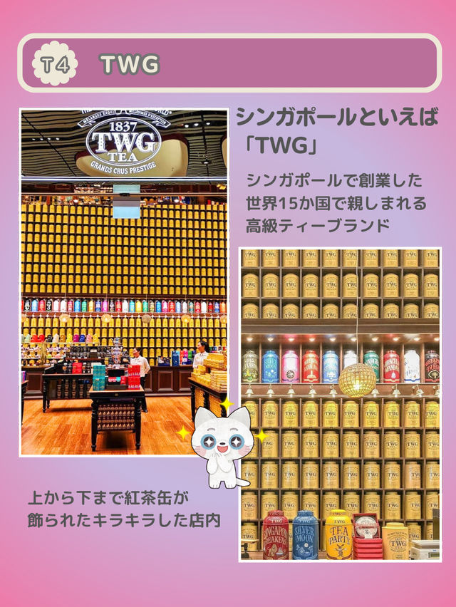【シンガポール】チャンギ空港がスゴイ！