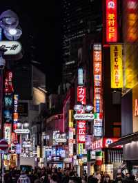 東京-台場冬季花火大會🎆
