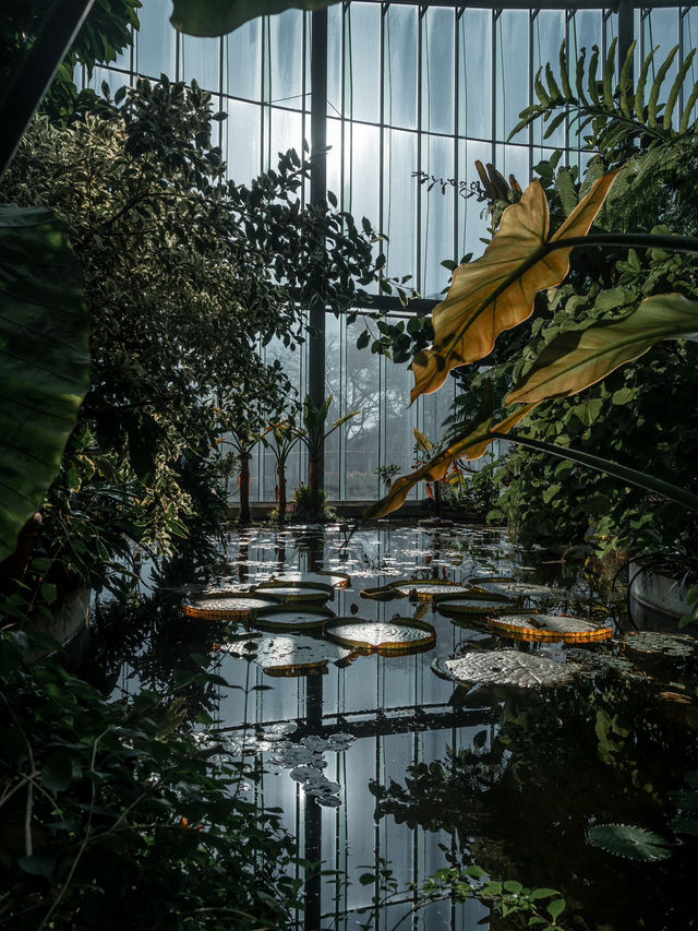 【新宿】新宿御苑・熱帯館：トロピカルな世界を体験🌿🌺