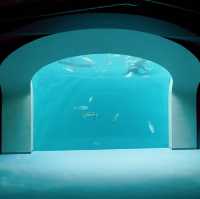 四國香川縣｜高松市內絕美「四國水族館」