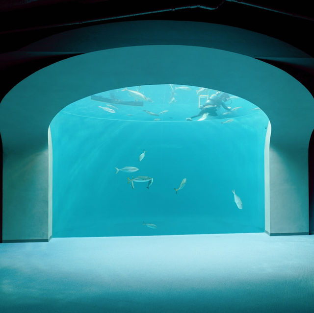 四國香川縣｜高松市內絕美「四國水族館」