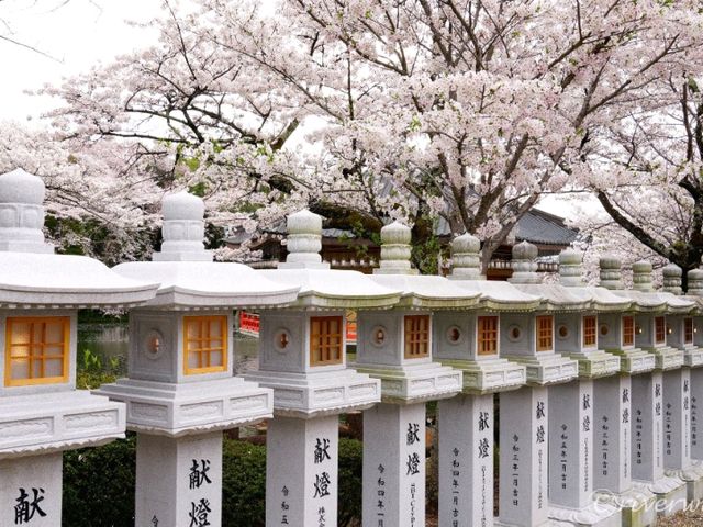 【奈良県】安倍晴明ゆかりの古刹！桜の名所でもある「安倍文殊院」