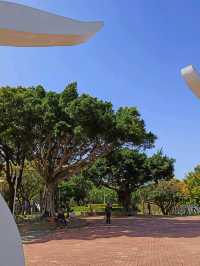 台中沙鹿鎮立公園公園旁的大型籃球場成為年輕人聚集的熱點