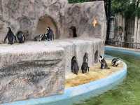 家族で楽しむ都心のリフレッシュポイント – 上野動物園で癒しのひととき