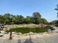 "Garden of Gardens"- The Old Summer Palace in Beijing