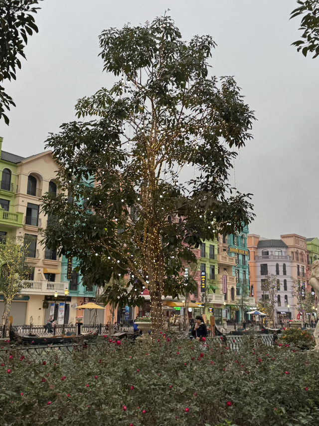 🇻🇳꼭 한번 가보세용