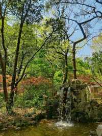 Fuxing Park: A Hidden Gem of Tranquility