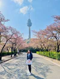 Blossoms Over Thrills: A Serene Escape at E World
