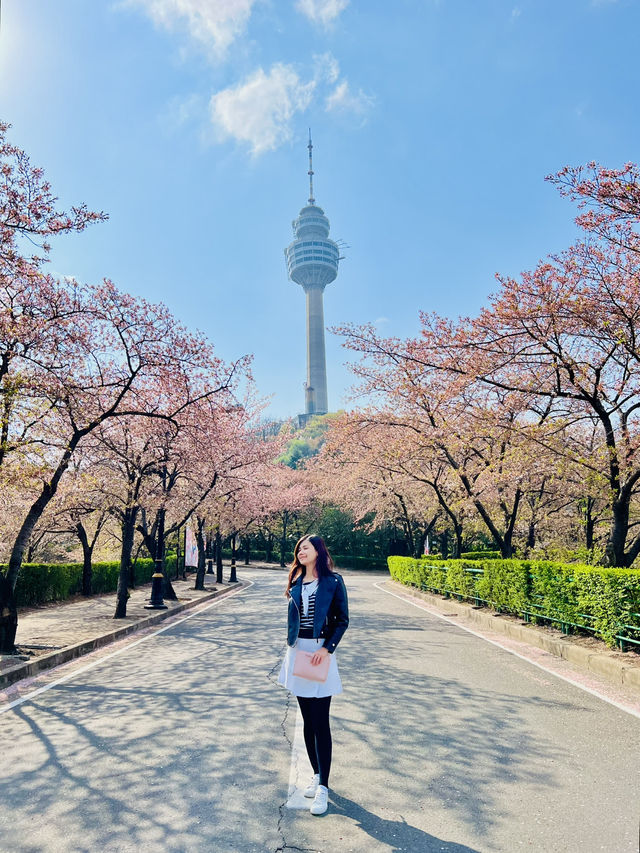Blossoms Over Thrills: A Serene Escape at E World