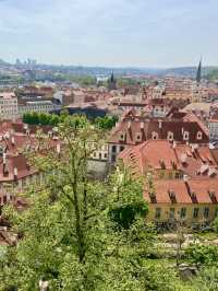 Spring in Prague: A Visit to Prague Castle🌷