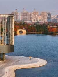 best attraction for china transit in shanghai